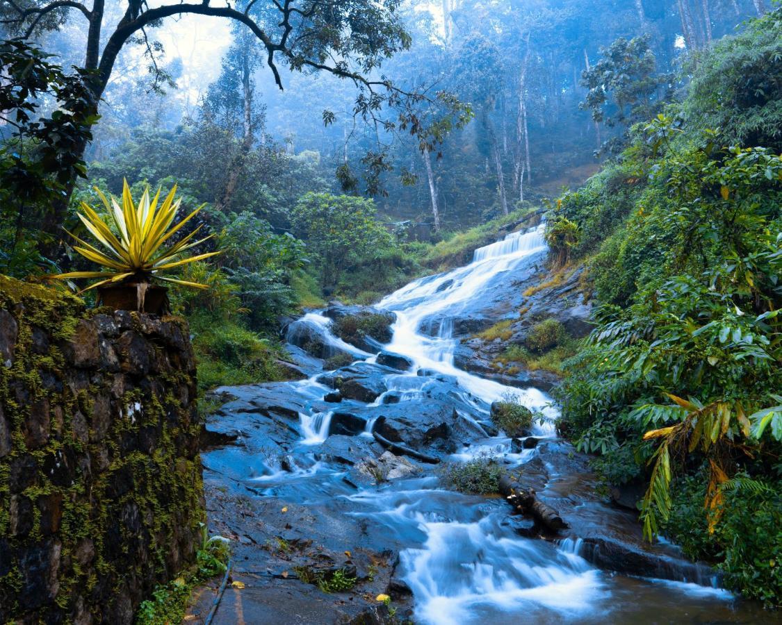 Falling Waters Munnar Exterior photo